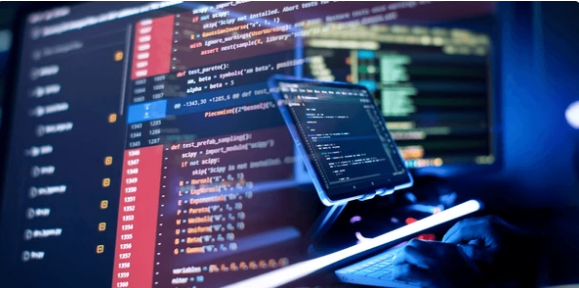 Web Development Project